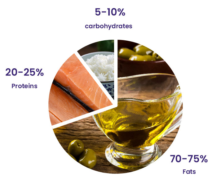 Keto chat of composition | Peak Metabolism