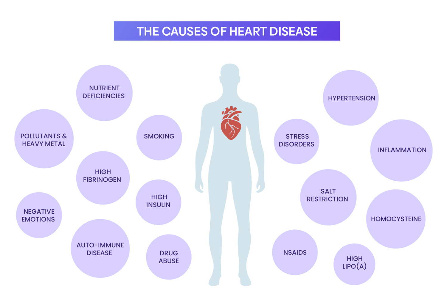 The causes of heart disease | Peak Metabolism Hong Kong