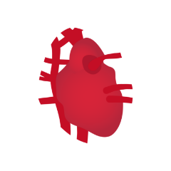 Peak Metabolism: Heart disease prevalence