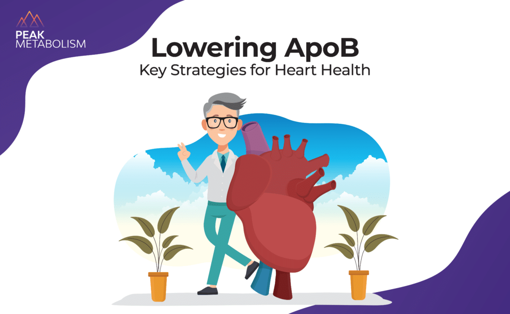How to Lower High ApoB Levels for Cardiovascular Health
